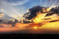 ������� ������ ���� ���������