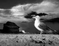 �������� ���� ��������� mp3