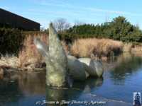 �������� ���� ��������� ����� �����