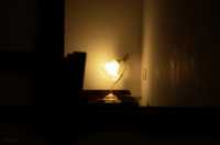 ������� ����