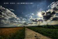 �������������� ����