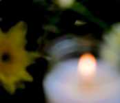 кожные заболевания сыпь