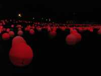 ������� ���� �� ����������