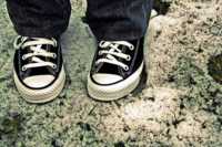 ������� ���� �� �����