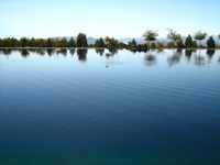 куда сыпать порошок