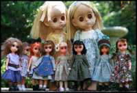 ������� ������� ���� ����