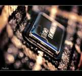 лобковая сыпь