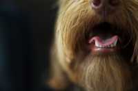 ���������������� ���� ����