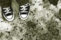 ������ ���� �� �������