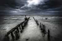 ������ ���� �� �����