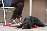 ��������������� ����