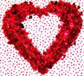 ��������������� �������� ����