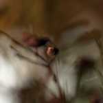 последствия угревой сыпи