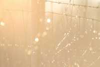 розеолезная сыпь