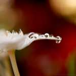 �������� ���� � �������