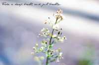 ������� ����