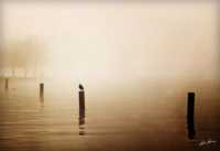 ���� ���� � ��������