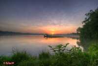 сыпь как комариные укусы