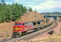 сыпь на гениталиях