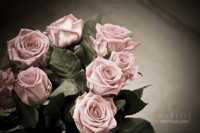 сыпь на голенях