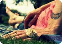 ���� �� �������� ������