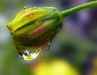 ���� �� ������� � ������