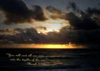 ���� �� �����������