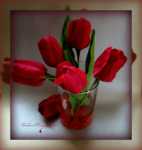 сыпь на мошонке