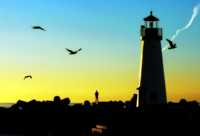 сыпь на подошвах