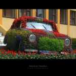 сыпь на попке