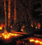 сыпь на суставах