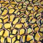 ���� �� �������� � �������