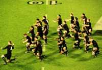 сыпь около носа