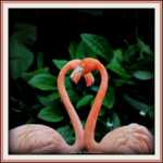 сыпь от антибиотиков