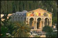 сыпь от сладкого