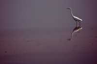 ���� ����� ����