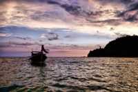 ���� ����� ����