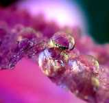 ���� ����� �����