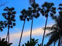 сыпь после приема антибиотиков