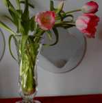 ���� � ������� �� ����