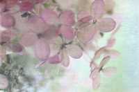 ���� � ��������