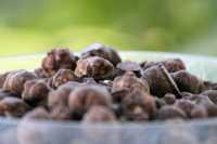 ���� � ���� � �������