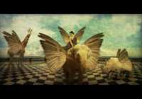 ���� � ���� �������������