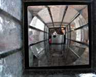 ���� ������ �����