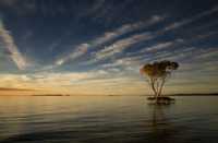 �������� �� ����