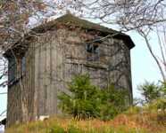температура головная боль сыпь