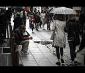 � ������� ���� �� �����