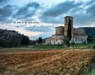 виды сыпи фото